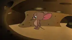 Том и Джерри (мультфильм) 3 сезон 5 серия